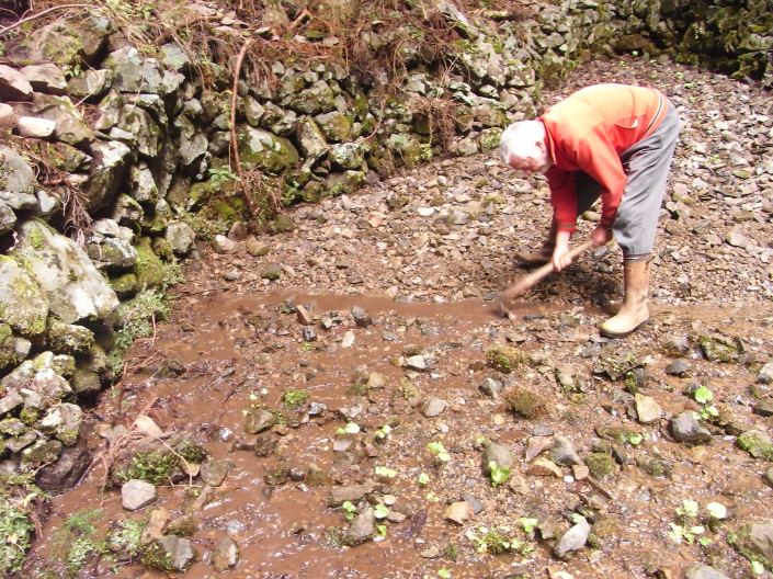 asabida16102015Tagayasu531 copy.JPG