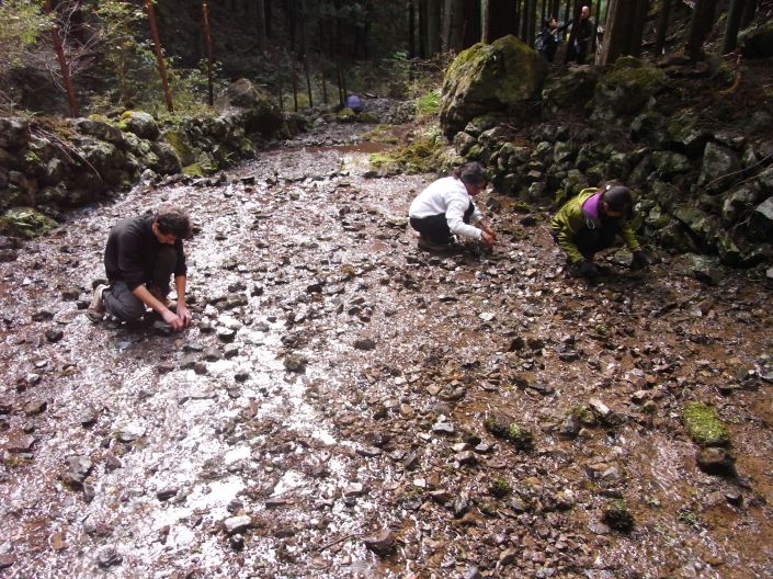 asaHelp20151121532534 copy.JPG