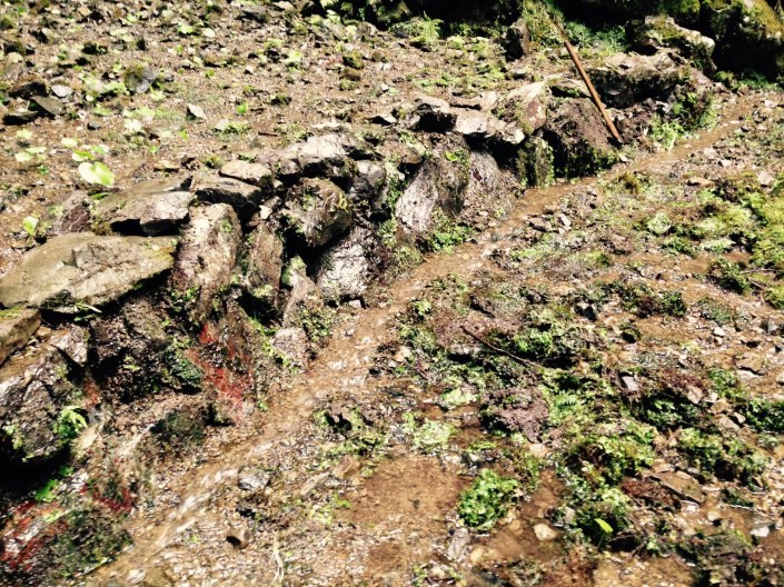 Rockwall02112015 copy.jpg