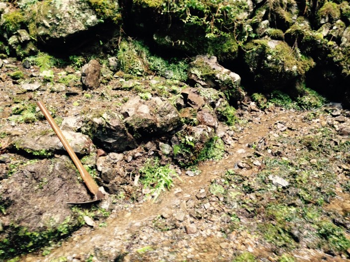 Rockwallc02112015 copy.jpg